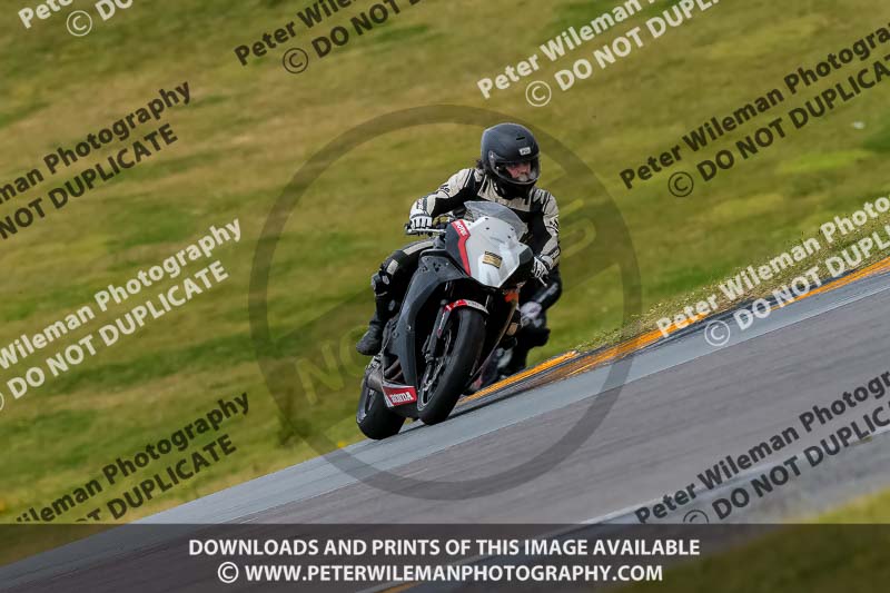 PJ Motorsport 2019;anglesey no limits trackday;anglesey photographs;anglesey trackday photographs;enduro digital images;event digital images;eventdigitalimages;no limits trackdays;peter wileman photography;racing digital images;trac mon;trackday digital images;trackday photos;ty croes